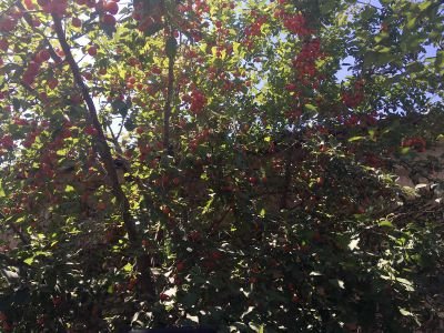 blog